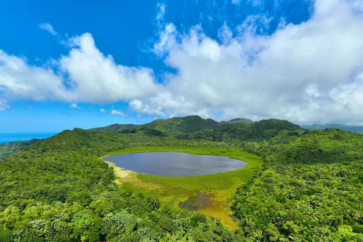 Aerial view of Grand Etang crater lake surrounded by rainforest, Grenada